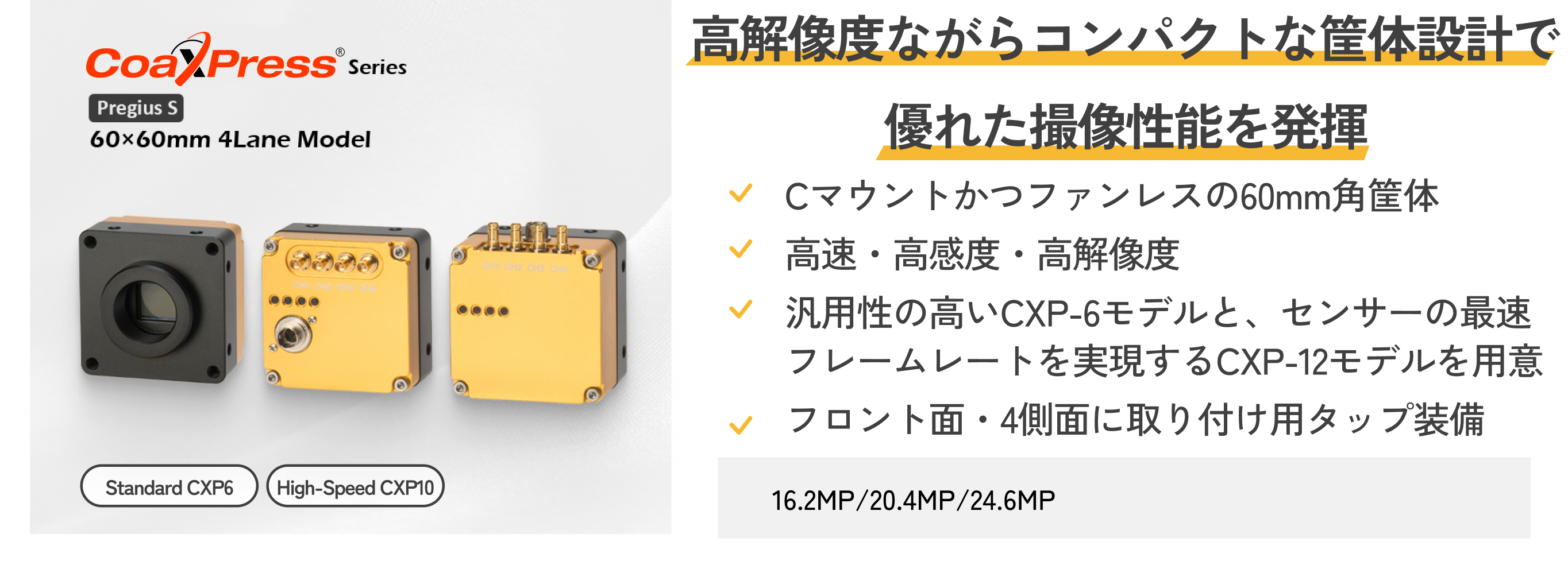 line-scan-camera_08 (1).png